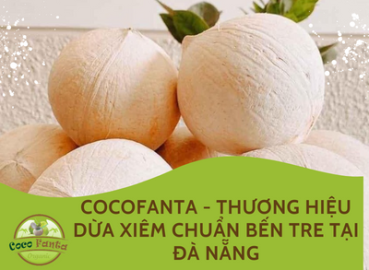 Cocofanta – Thương hiệu dừa xiêm chuẩn Bến Tre tại Đà Nẵng